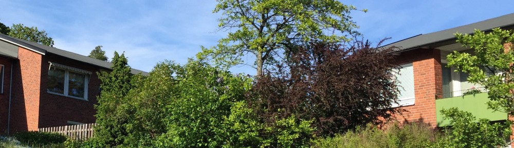 Skogshem i Gustavsberg